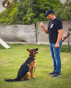 Maged Elmasry Instagram - مساء الفل.. يوم جميل مع ( ناركوس ) صديقي الوفي @adamelmasry1919  @mahielmasrie  @dalida_e  @raniaabouelnasr19