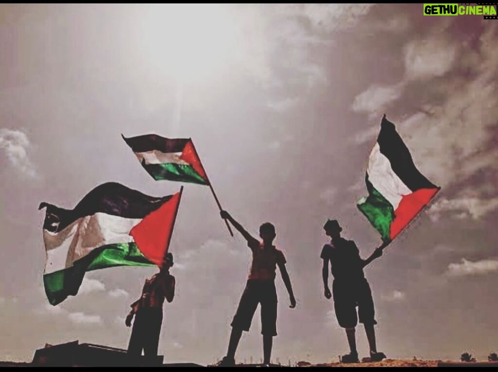 Maged ElMasry Instagram - فلسطين ✌️✌️✌️✌️✌️✌️✌️✌️✌️✌️✌️✌️✌️✌️✌️✌️✌️✌️