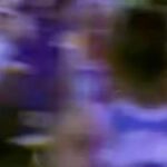 Magic Johnson Instagram - The 1992 All-Star game is a core memory of mine! I owe so much to Commissioner David Stern allowing me to play in the game and helping me change the world after my diagnosis. Love the last couple minutes of the game, competing against my two good friends and NBA greats Michael Jordan and Isiah Thomas. Looking forward to watching this year’s All-Stars play tonight!