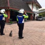 Mahathir Mohamad Instagram – Cat-tention! 🐈
