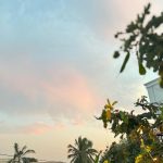 Mahira Khan Instagram – Assalamualaikum 2024 🙋🏻♀️