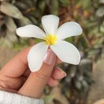 Mahira Sharma Instagram - ⛄️