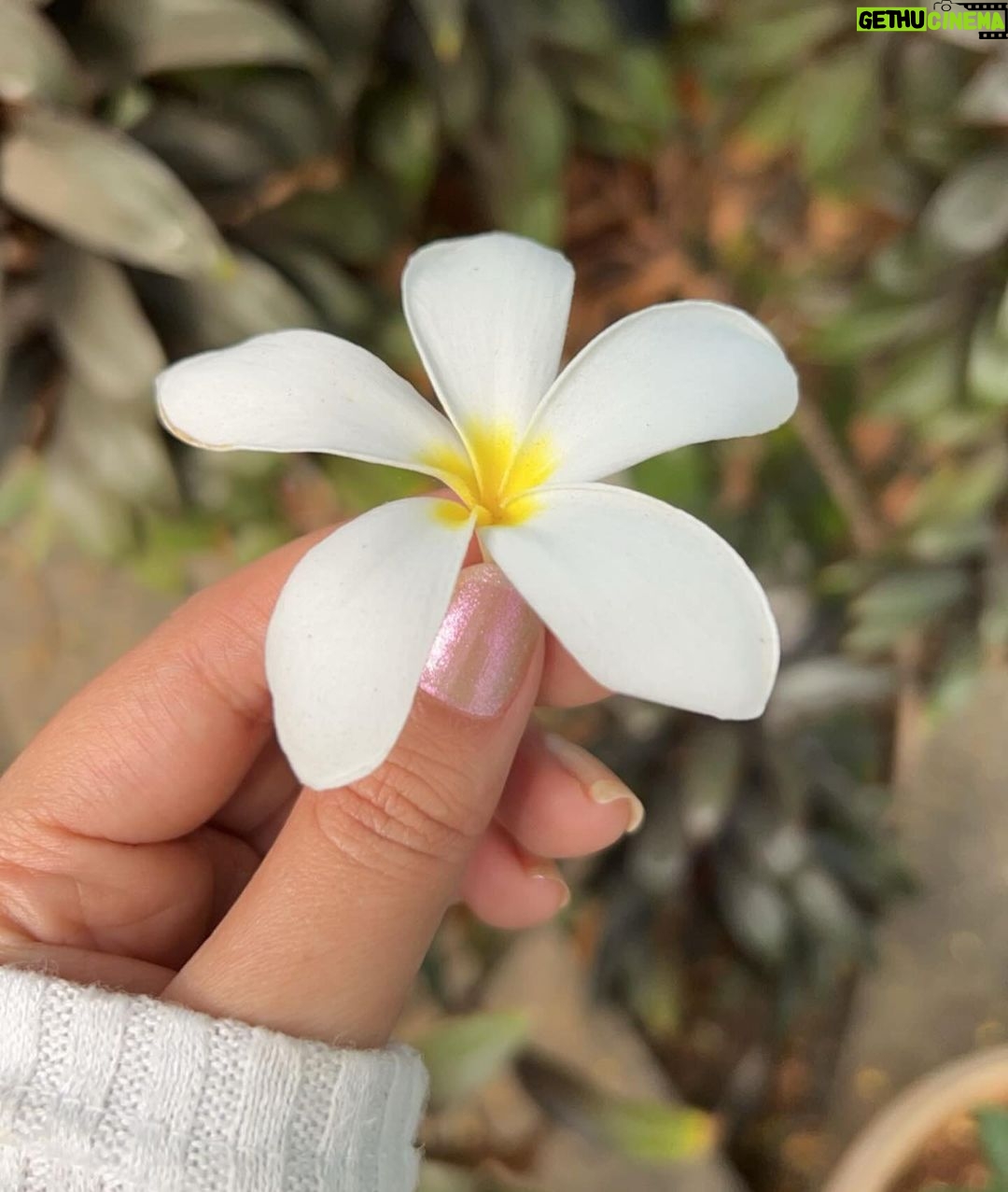 Mahira Sharma - 0.9 Million Likes - āļø