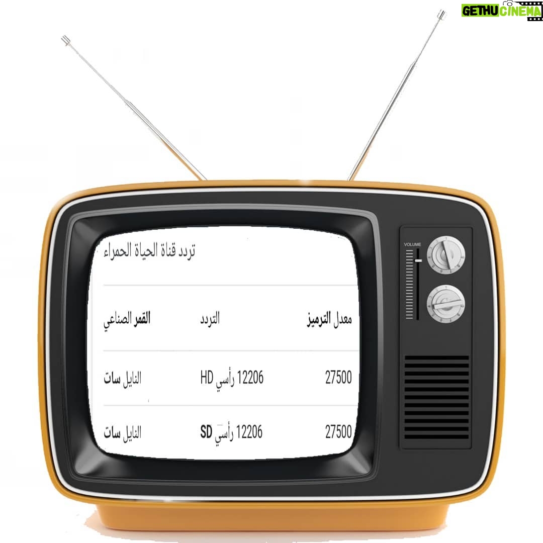 Mai Ezz ElDein Instagram - @alhayah1tv #البرنسيسة_بيسة #رمضان٢٠١٩🌛 #حصري_علي #قناة_الحياة