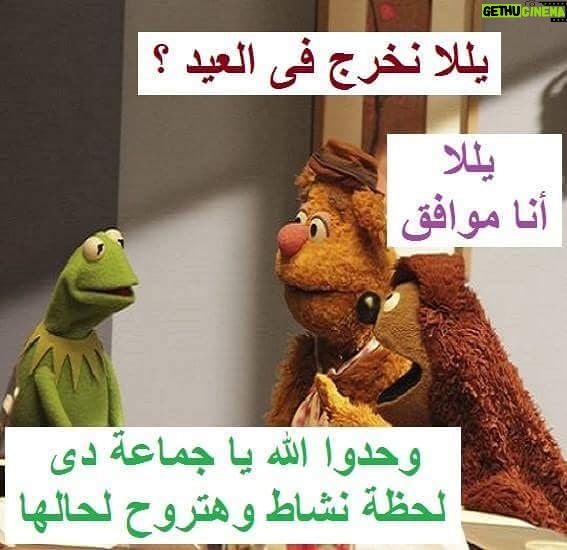 Mai Ezz ElDein Instagram - 😂🤣🤚🏻 #إضحك_لتنسي_همومك_وتوكل_علي_الله