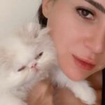 Mai Ezz ElDein Instagram - Sugar 🍬🐱@pousy_hamada_cat Cattery