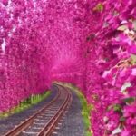 Mai Ezz ElDein Instagram - 🌸 اللهم مع رحيل رمضان خذ معه همنا و تعبنا و ذنوبنا اللهم أرزق قلوبنا رآحة و طمأنينة و سلام اللهم فرحة ننتظرها طويلًا فحقهها لنا يا الله 🙏🏻 #عيدسعيد🎈