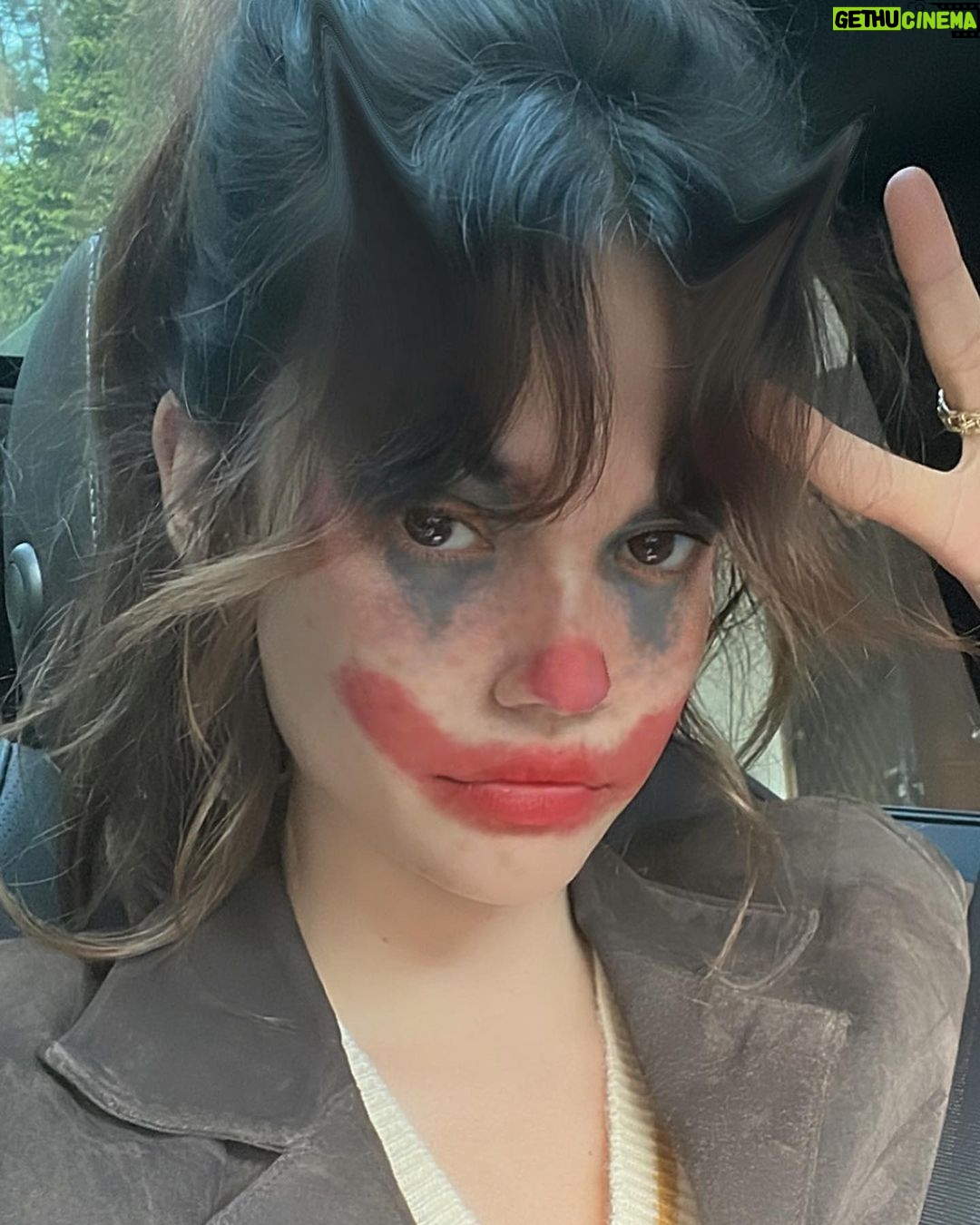 Maia Mitchell Instagram - Some bits and bobs, friends who are dogs xx