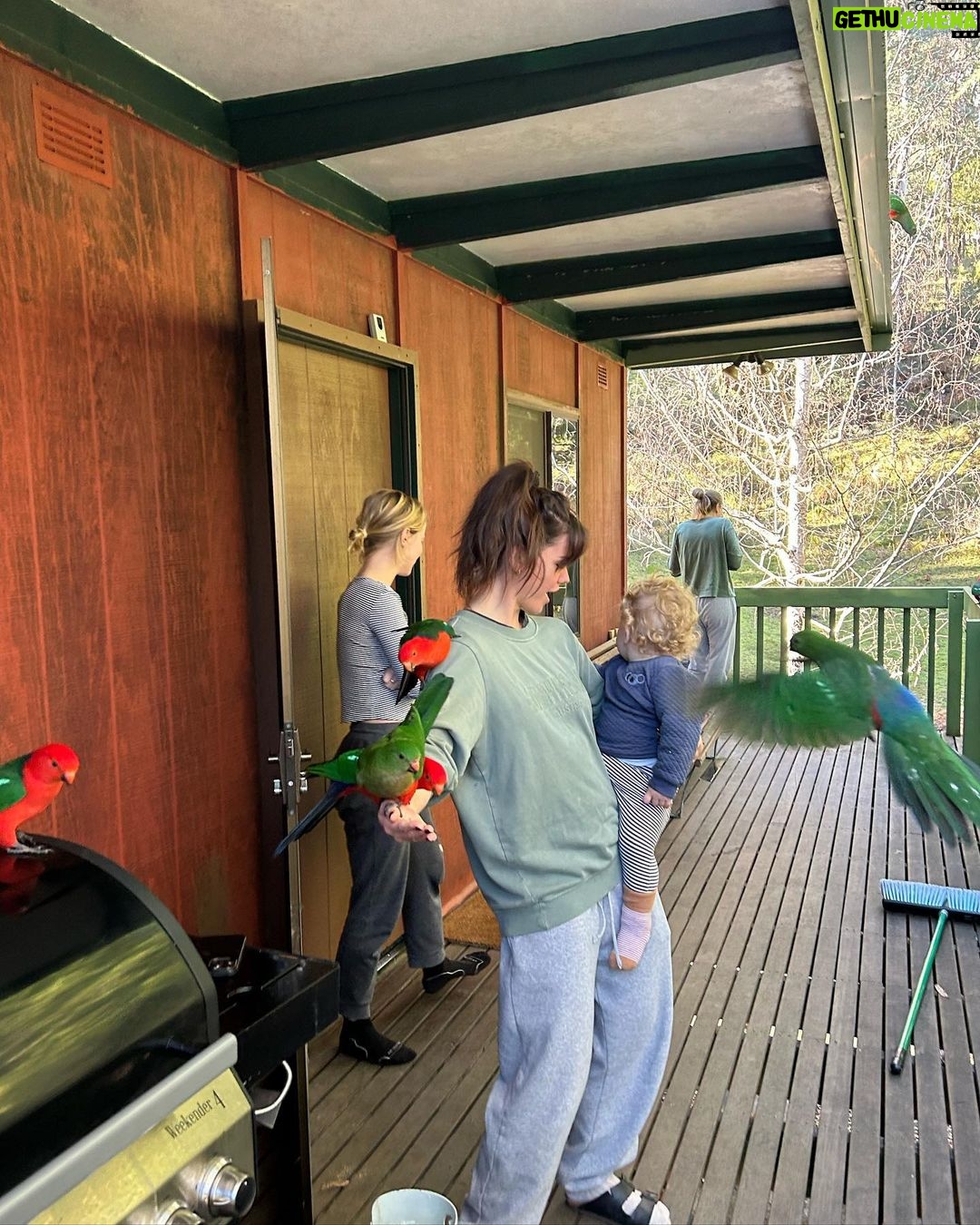 Maia Mitchell Instagram - ✅✅ Mount Buller, Victoria