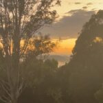 Maia Mitchell Instagram - Home for exactly one sunrise