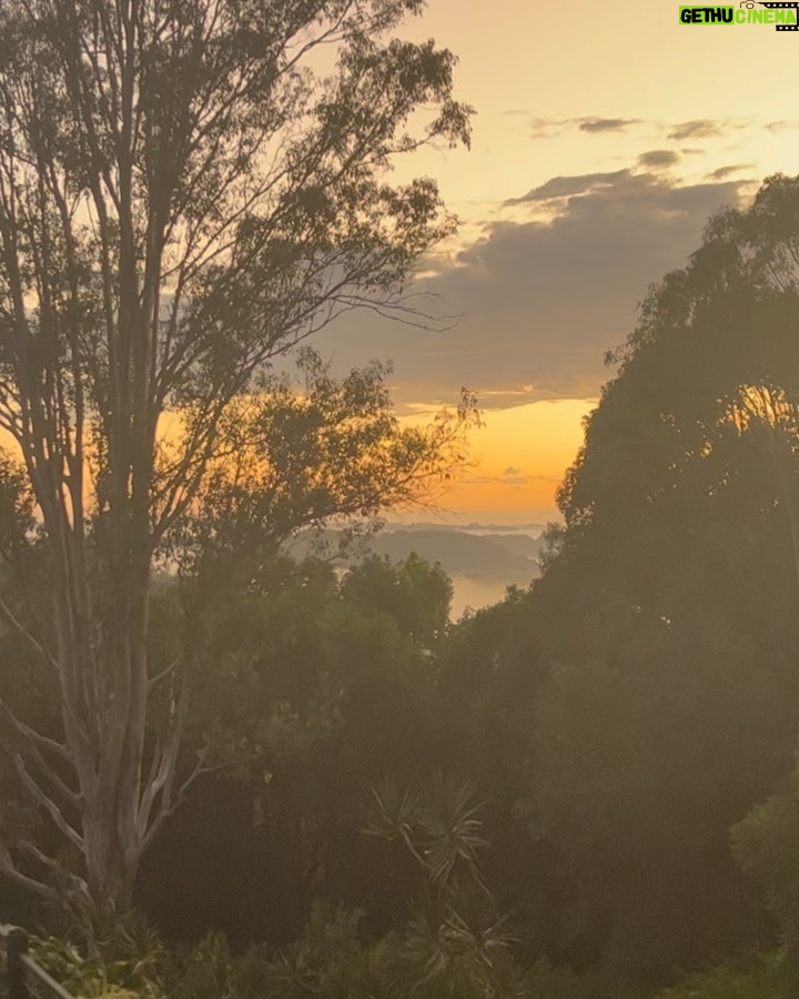 Maia Mitchell Instagram - Home for exactly one sunrise