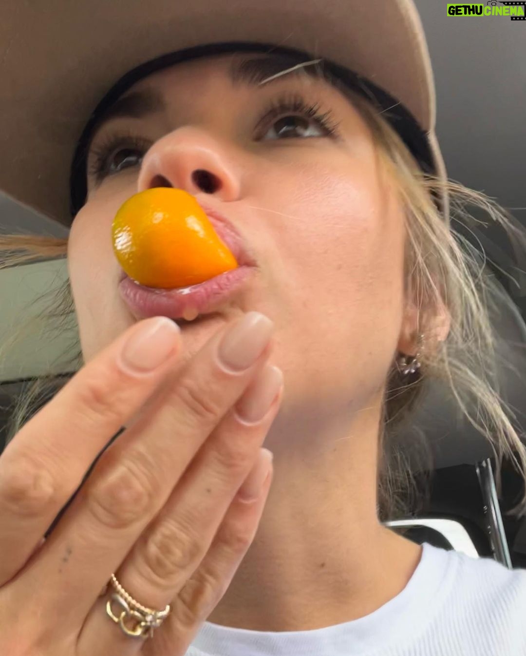 Maia Mitchell Instagram - The order was a triple espresso over ice with a splash of oat milk Sydney, Australia