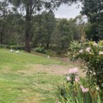 Maia Mitchell Instagram - Tired eyes, chapped lips, can’t lose Berrima, New South Wales