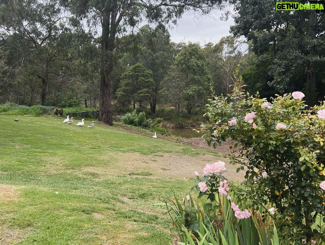 Maia Mitchell Instagram - Tired eyes, chapped lips, can’t lose Berrima, New South Wales