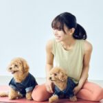Maika Yamamoto Instagram - 🐶ドッグヨガ 🐶ドッグマッサージを教わりました🧘🏻‍♀️ @maquia.magazine