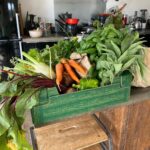 Maisie Williams Instagram - a tart 🙇🏼‍♀️ made with courgettes and basil from this @moonacre_farm veg box 🌱 Moonacre Farm