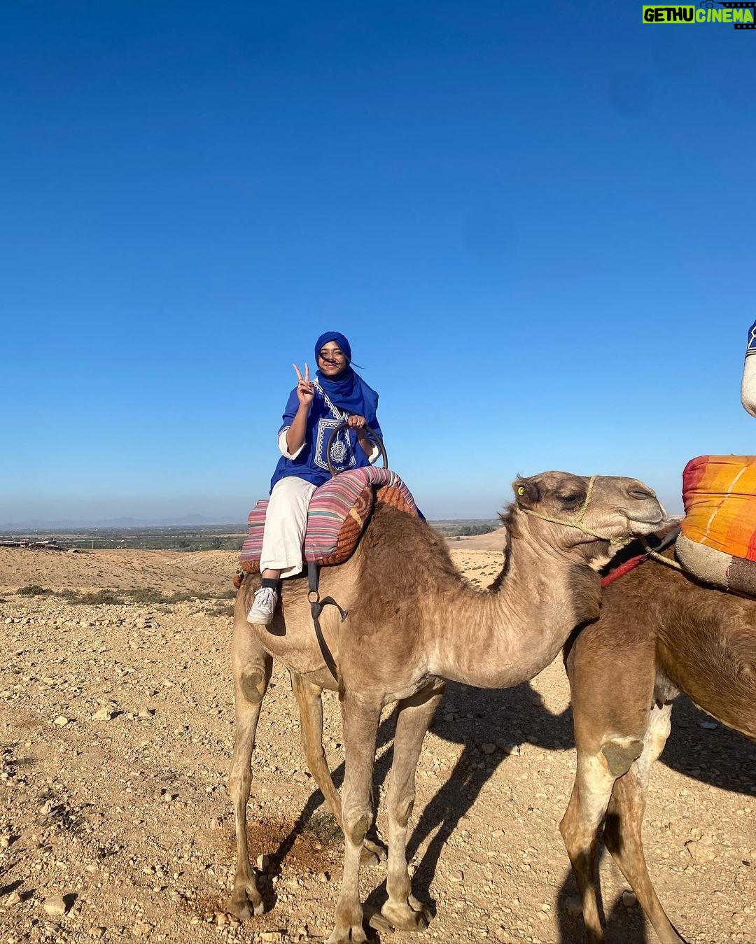 Maitreyi Ramakrishnan Instagram - had a great time Morocco. I made loads of friends (swipe to the end)🐈🇲🇦❤️