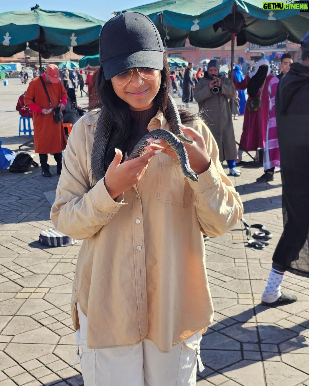 Maitreyi Ramakrishnan Instagram - had a great time Morocco. I made loads of friends (swipe to the end)🐈🇲🇦❤️