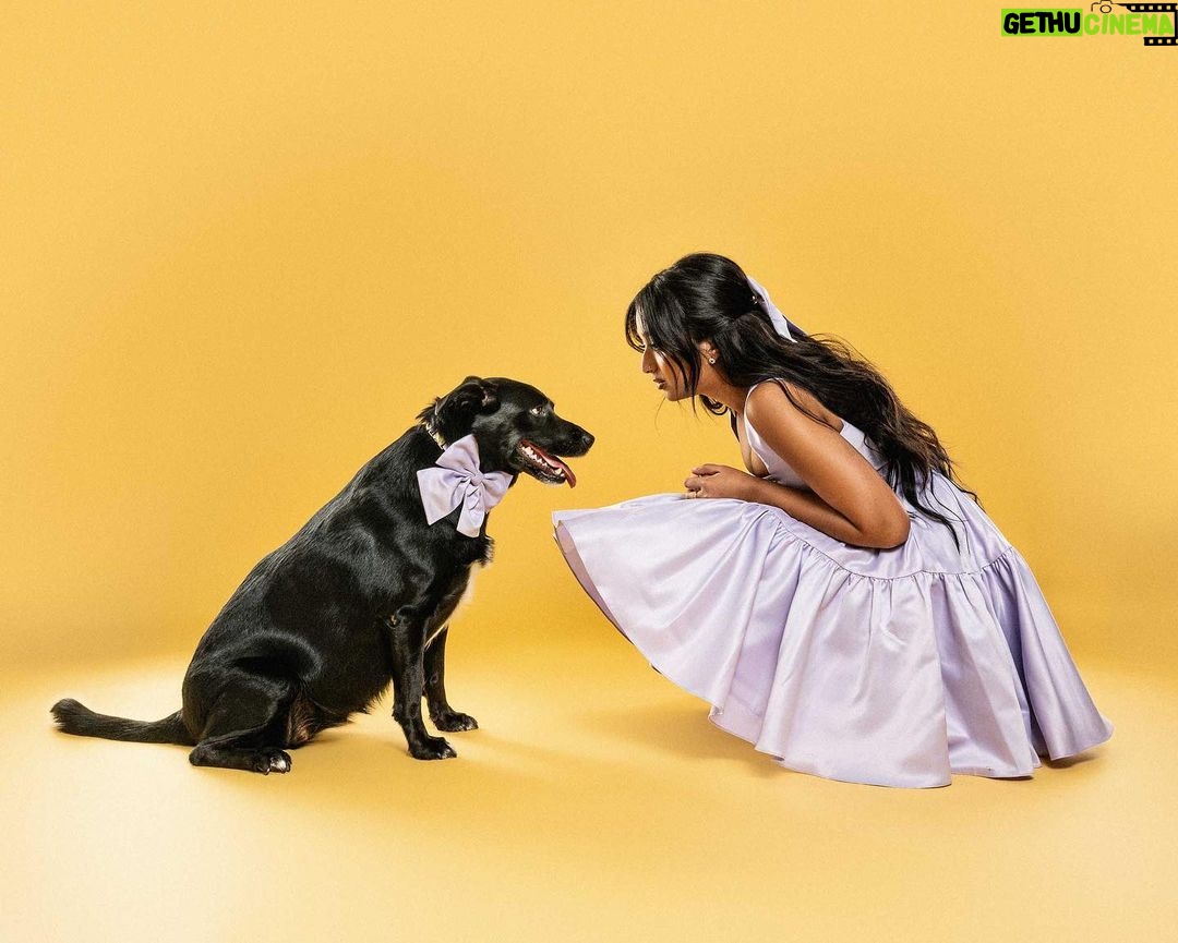 Maitreyi Ramakrishnan Instagram - Merry Maitreyimas🐶❤️✨ (from the CEOs of Maitreyimas)