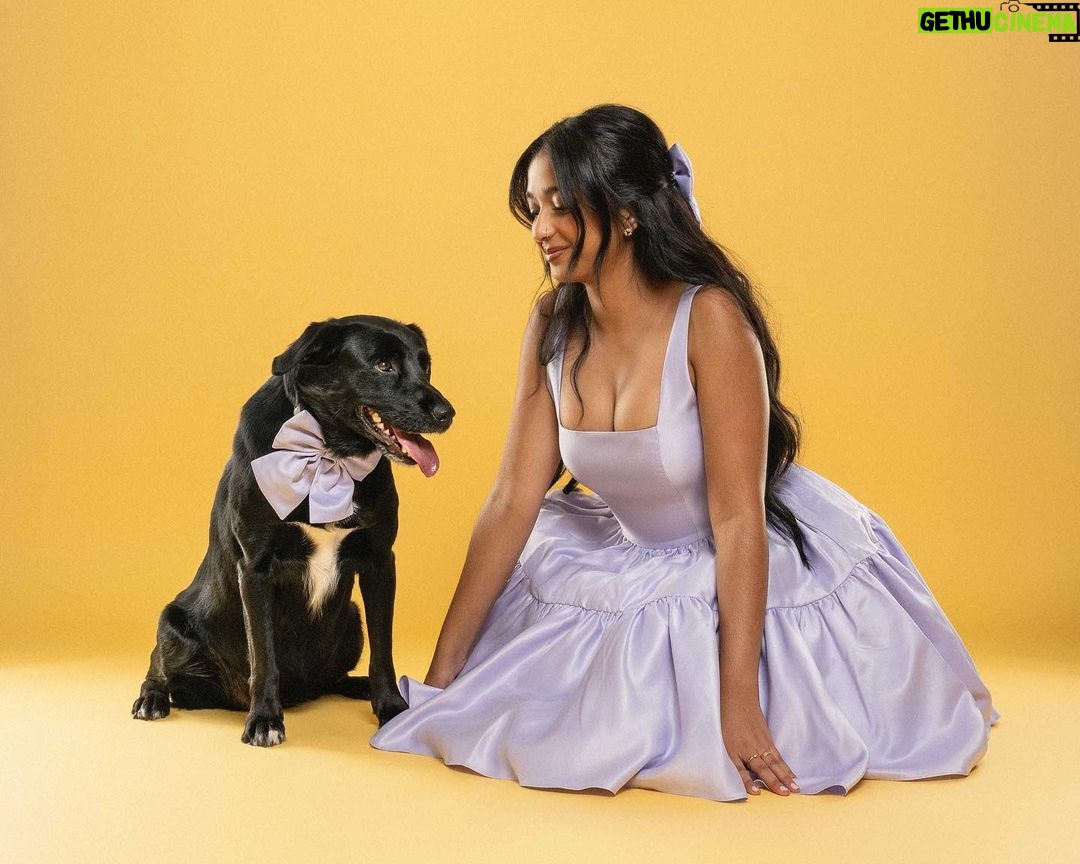 Maitreyi Ramakrishnan Instagram - Merry Maitreyimas🐶❤️✨ (from the CEOs of Maitreyimas)
