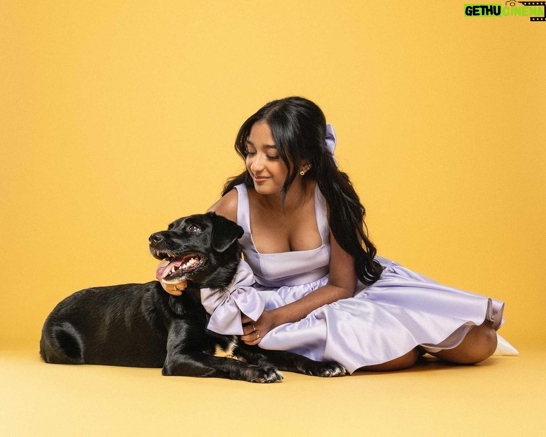Maitreyi Ramakrishnan Instagram - Merry Maitreyimas🐶❤️✨ (from the CEOs of Maitreyimas)