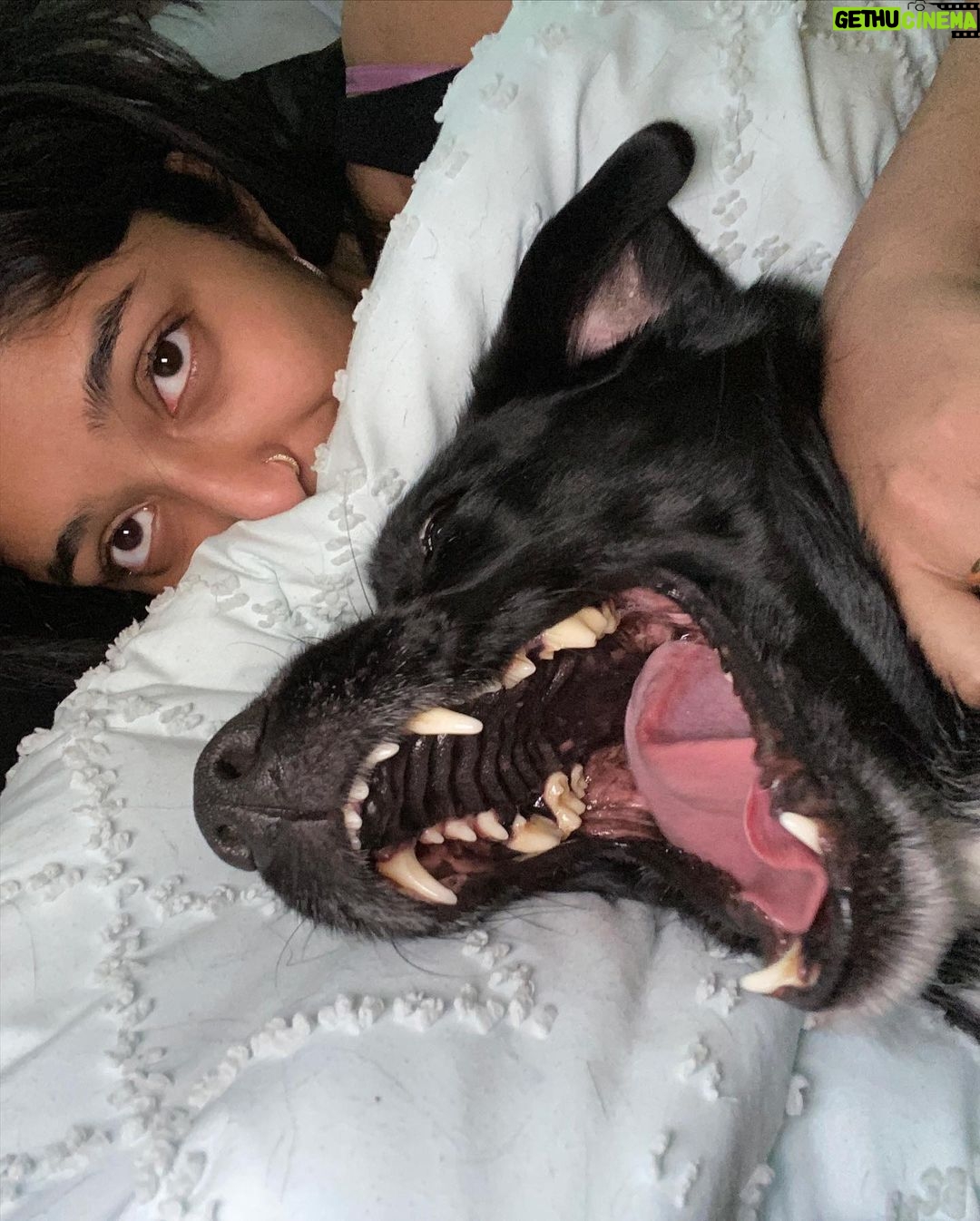 Maitreyi Ramakrishnan Instagram - choose your fighter