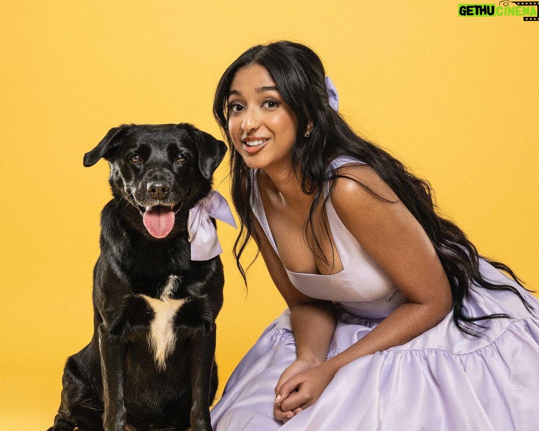 Maitreyi Ramakrishnan Instagram - Merry Maitreyimas🐶❤️✨ (from the CEOs of Maitreyimas)
