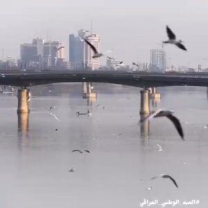 Majid Al Muhandis Instagram - كل عام واهلي وناسي واحبتي في بلادي مهد الحضارات العراق الحبيب بالف خير بمناسبة العيد الوطني كل الامنيات والدعوات لشعبنا الكريم بالتقدم والامن والامان