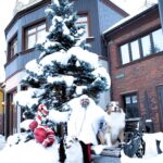 Maksim Fadeev Instagram - Удивительной красоты зима в этом году ❄️🌨️⛄️ С наступающими праздниками, друзья. В сториз - триллер о том, как создавалась эта фотография 🌚 и ссылка на билеты на мой ближайший концерт в Сочи 5 января 💫