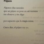 Malena Ratner Instagram - Hay un deseo que pido siempre que pasa un tren