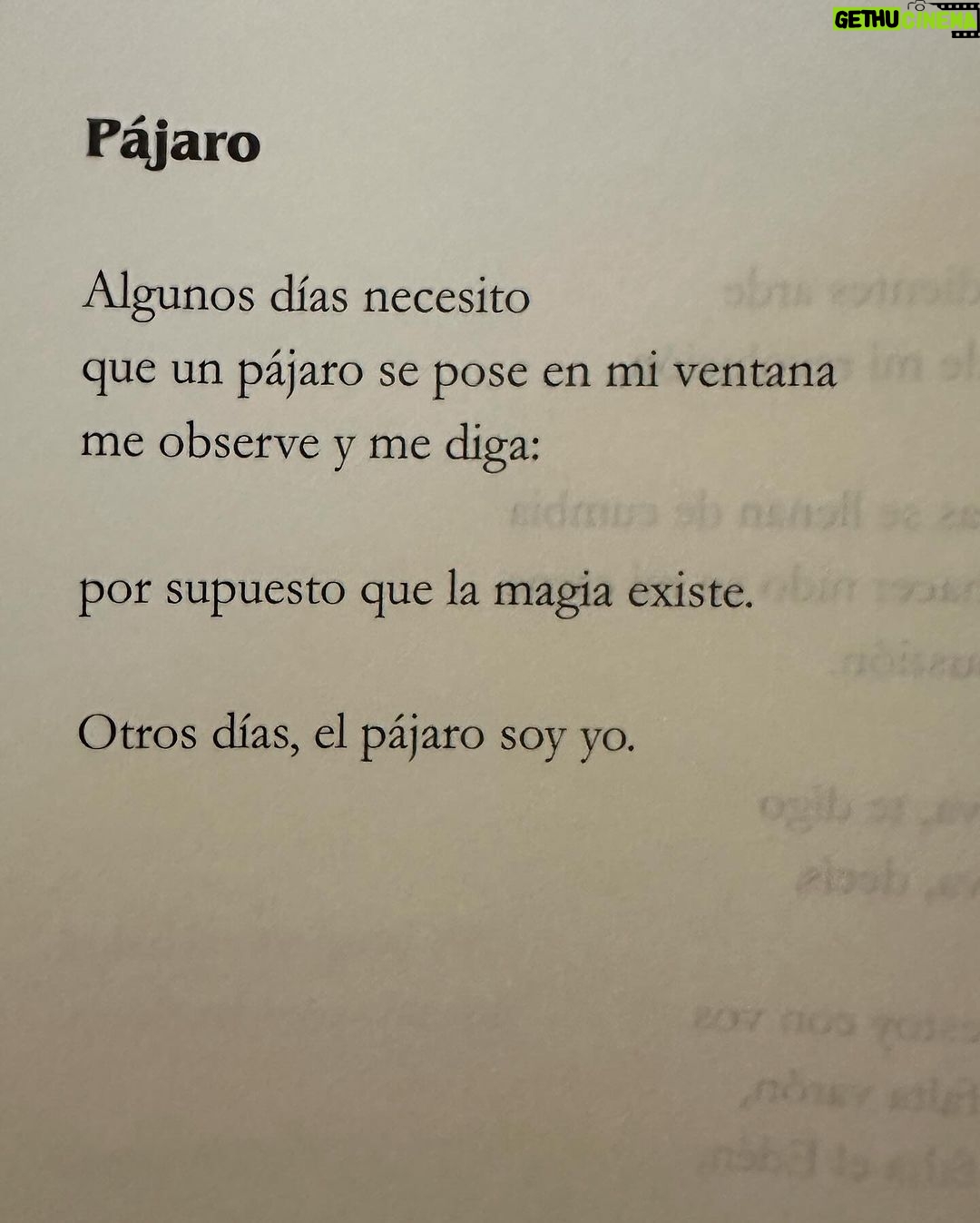 Malena Ratner Instagram - Hay un deseo que pido siempre que pasa un tren