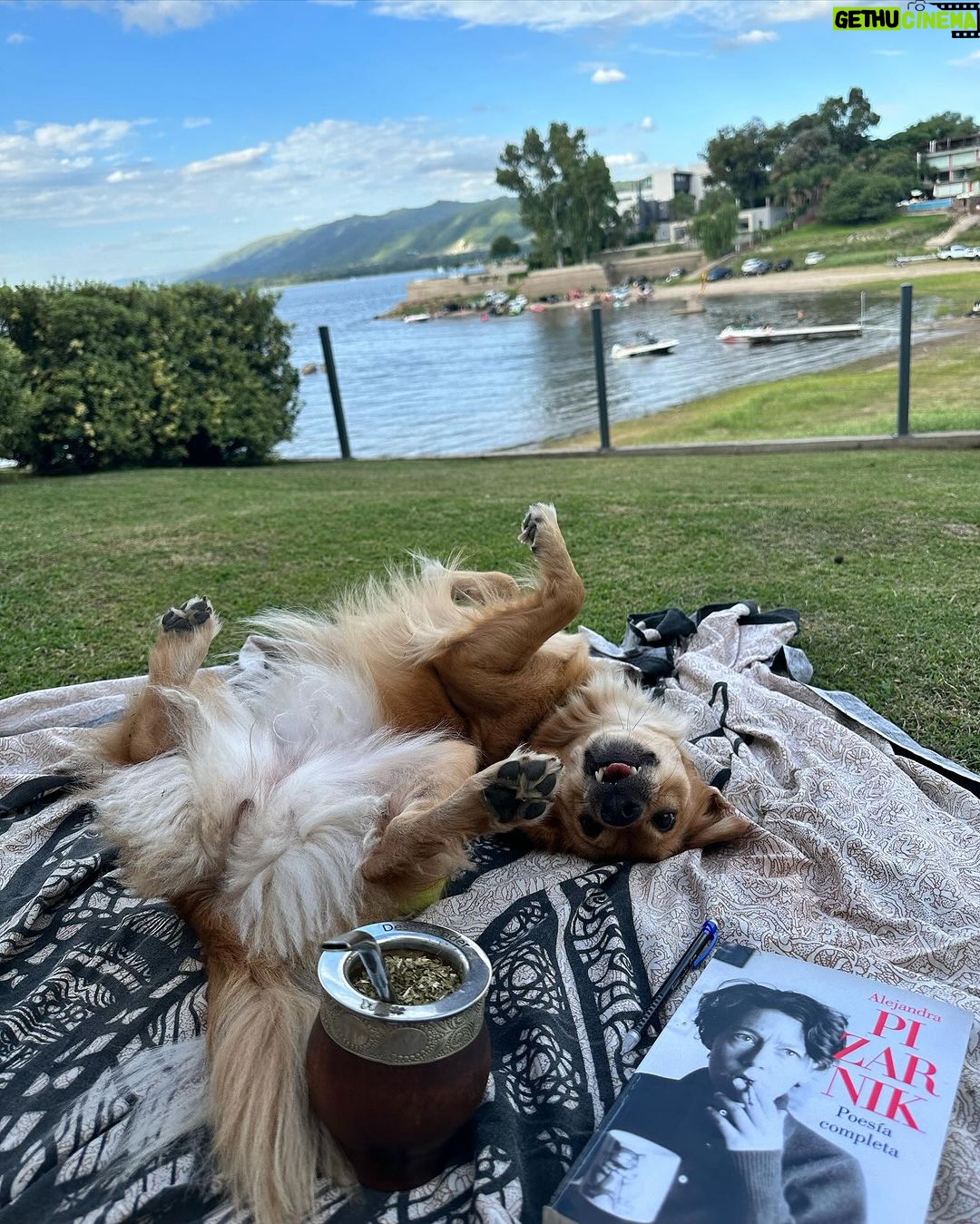 Malena Ratner Instagram - Charles peace 🦋🧉🍷🧜♀️💦