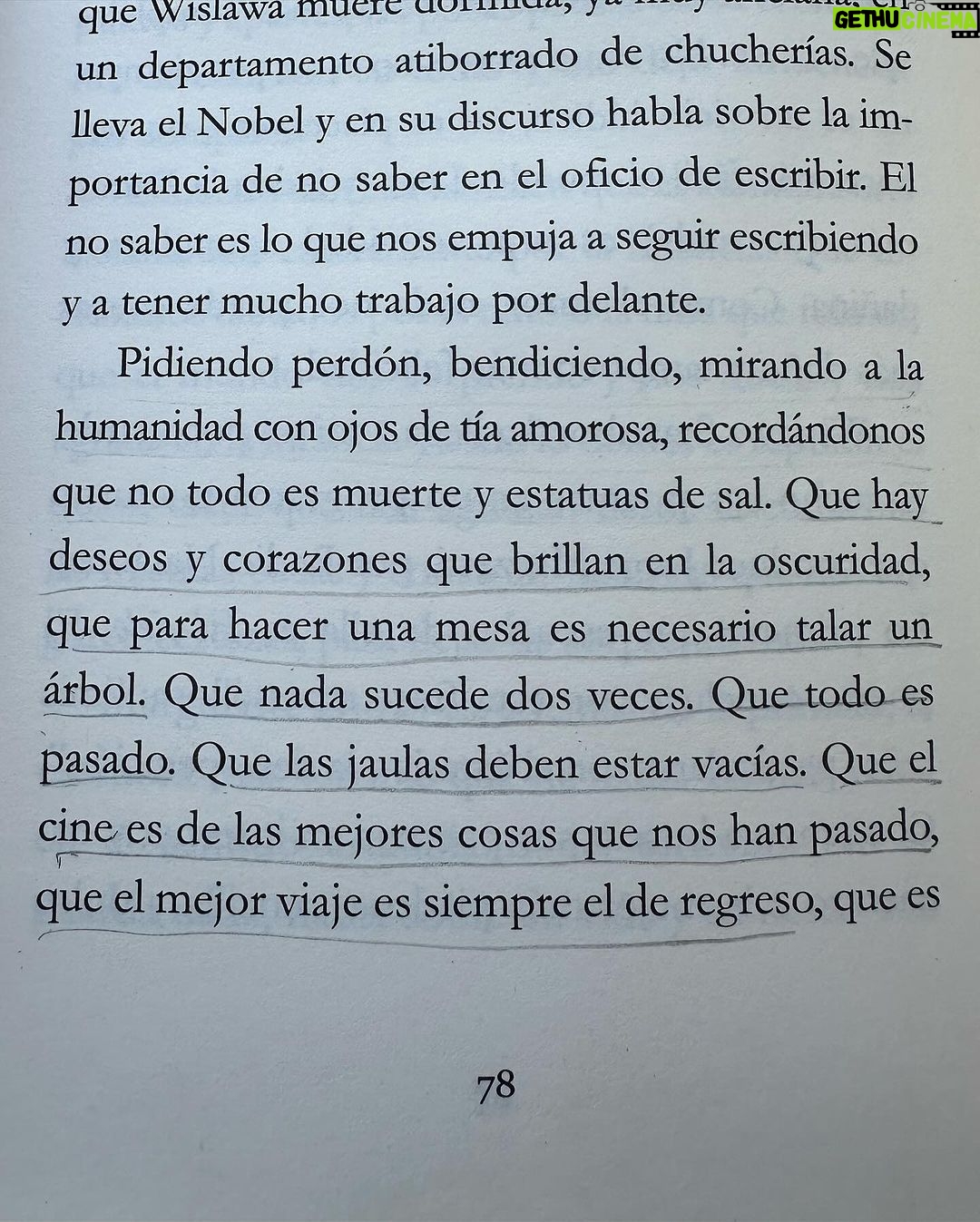 Malena Ratner Instagram - 🤎🧸🍪🐿️🪵 /cc @luzdemaroficial Córdoba