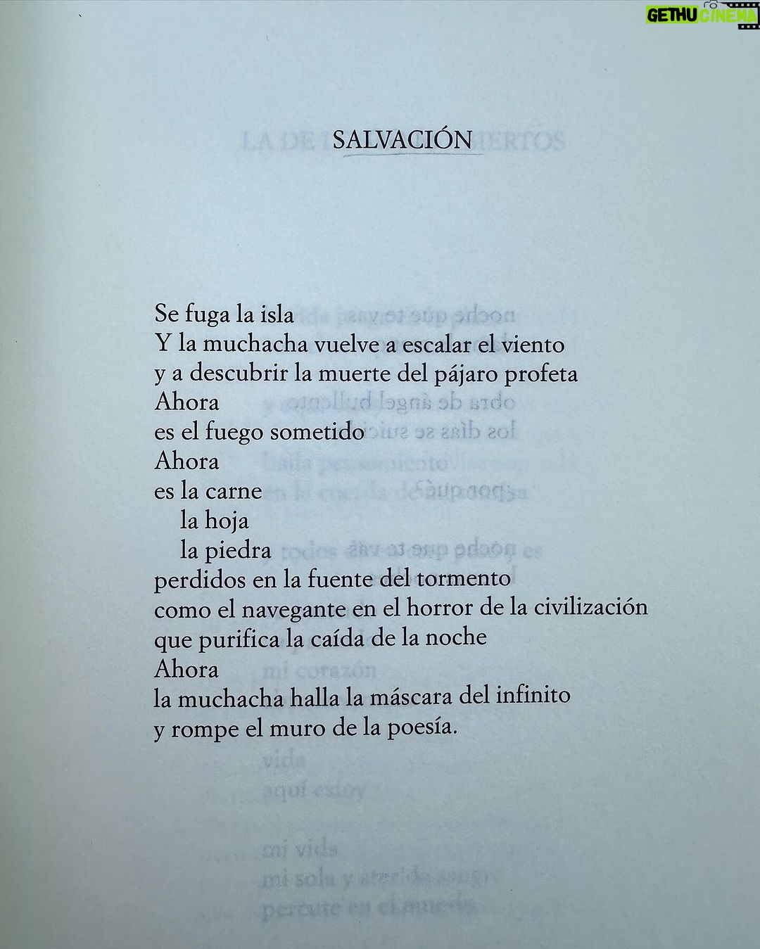 Malena Ratner Instagram - 🤎🧸🍪🐿️🪵 /cc @luzdemaroficial Córdoba