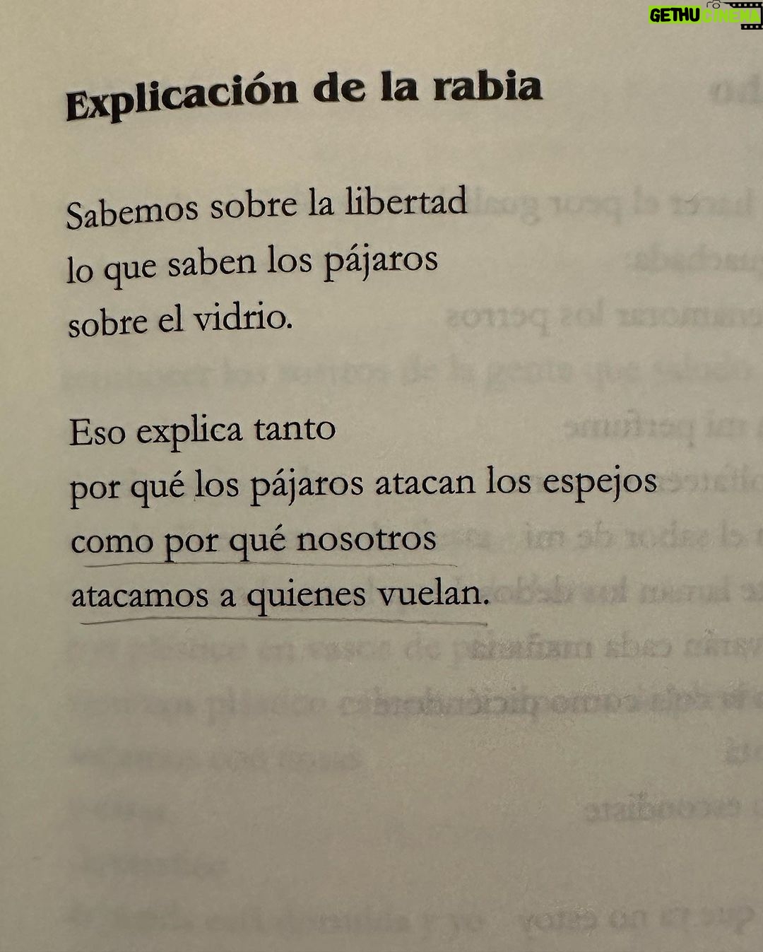 Malena Ratner Instagram - Beboteo y poesía (Makena tmb) Domingo