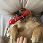 Malena Ratner Instagram - Beboteo y poesía (Makena tmb) Domingo