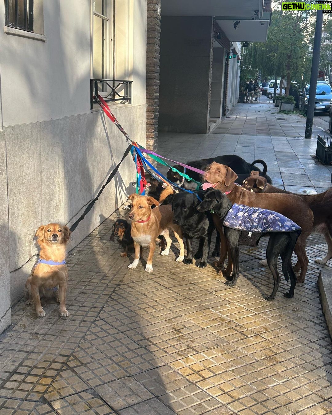 Malena Ratner Instagram - Popurri de amor Finde Largo