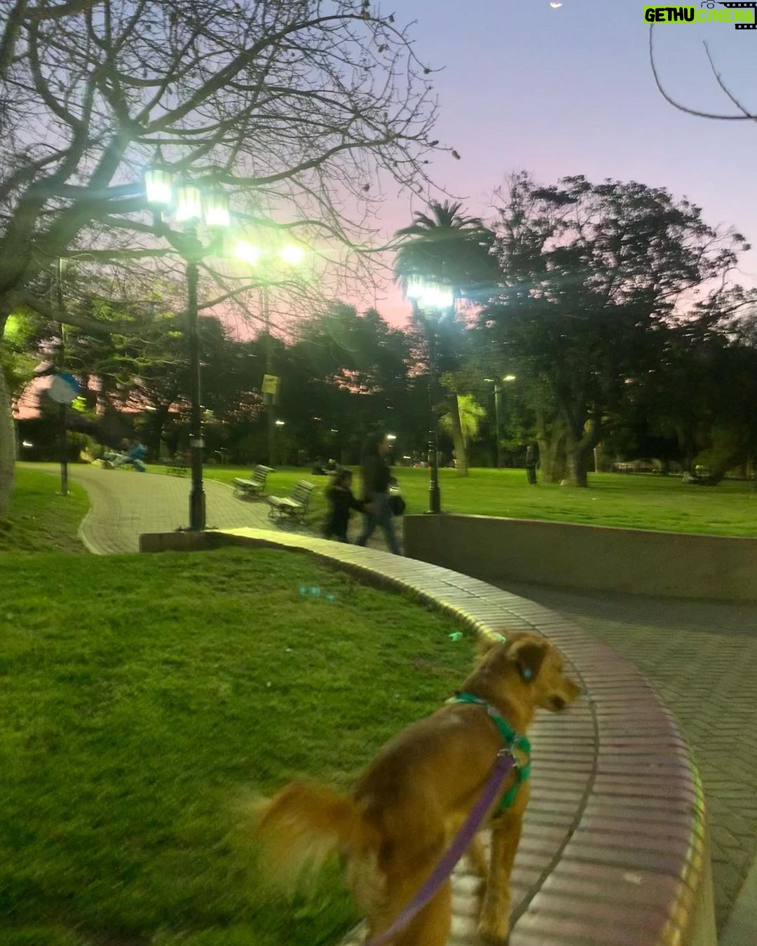 Malena Ratner Instagram - Makena se quedó En casa