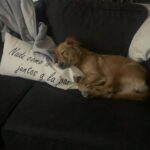 Malena Ratner Instagram - Makena se quedó En casa