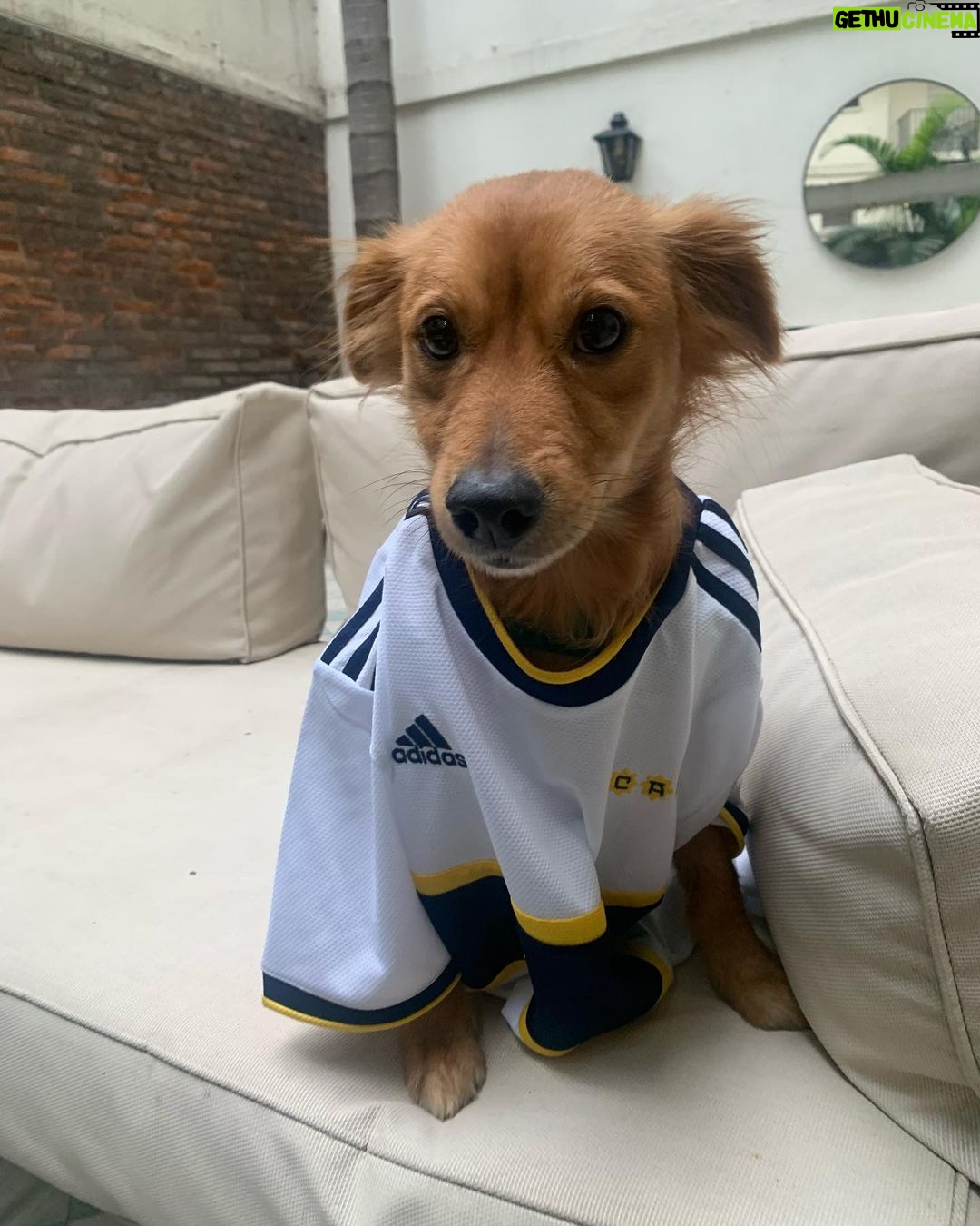 Malena Ratner Instagram - Makena se quedó En casa
