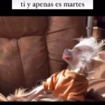 Malena Ratner Instagram - Las fotos son de febrero, el final es de hoy