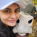 Malti Chahar Instagram - First jungle safari, first tiger spotted ( her name is Bindiya) and many selfies with these cuties 😉❤️ #jungle #junglesafari #tiger #wildlife #nature #wild