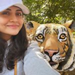 Malti Chahar Instagram - First jungle safari, first tiger spotted ( her name is Bindiya) and many selfies with these cuties 😉❤️ #jungle #junglesafari #tiger #wildlife #nature #wild