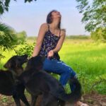 Malti Chahar Instagram - You are being missed Bunty and Bubly😘🐶 Cuties of Jungle Sarai and @anilpatil_cliffedgefilms Clicked by- @thesanakhan 😘 #love #joy #beautiful #soulful