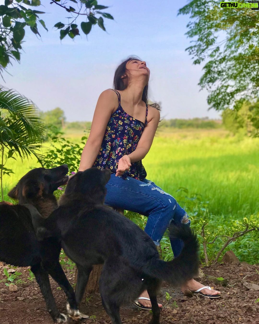 Malti Chahar Instagram - You are being missed Bunty and Bubly😘🐶 Cuties of Jungle Sarai and @anilpatil_cliffedgefilms Clicked by- @thesanakhan 😘 #love #joy #beautiful #soulful