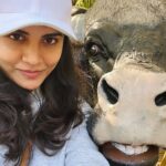 Malti Chahar Instagram - First jungle safari, first tiger spotted ( her name is Bindiya) and many selfies with these cuties 😉❤️ #jungle #junglesafari #tiger #wildlife #nature #wild