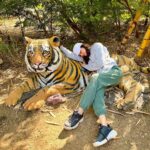 Malti Chahar Instagram - First jungle safari, first tiger spotted ( her name is Bindiya) and many selfies with these cuties 😉❤️ #jungle #junglesafari #tiger #wildlife #nature #wild