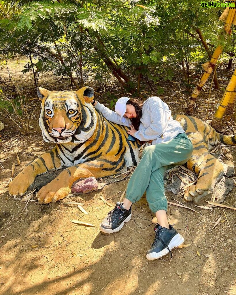 Malti Chahar Instagram - First jungle safari, first tiger spotted ( her name is Bindiya) and many selfies with these cuties 😉❤ #jungle #junglesafari #tiger #wildlife #nature #wild