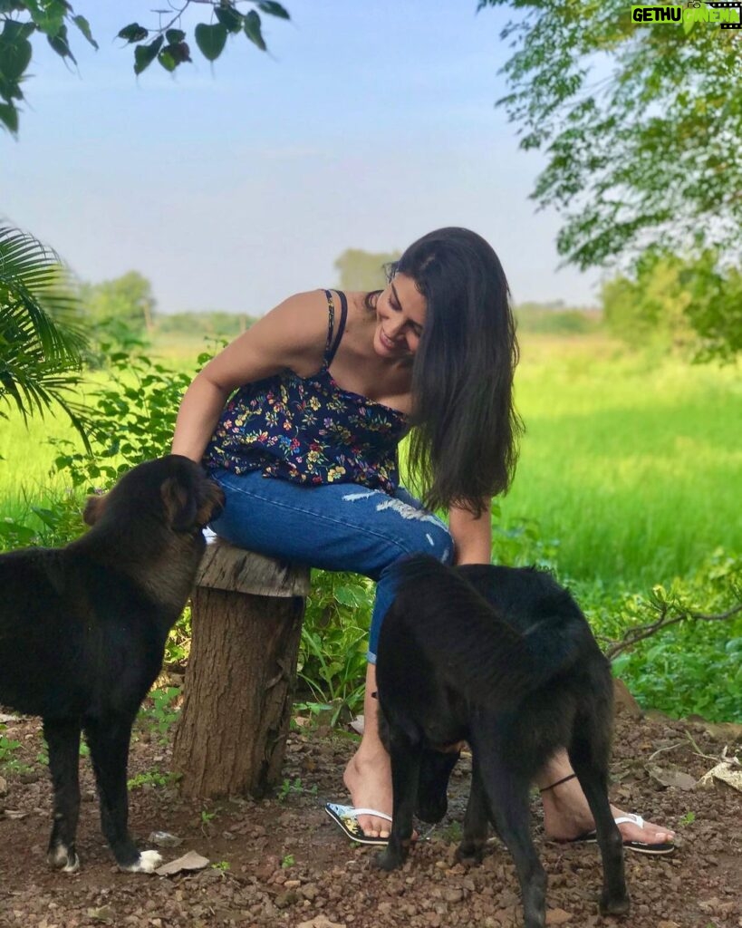 Malti Chahar Instagram - You are being missed Bunty and Bubly😘🐶 Cuties of Jungle Sarai and @anilpatil_cliffedgefilms Clicked by- @thesanakhan 😘 #love #joy #beautiful #soulful
