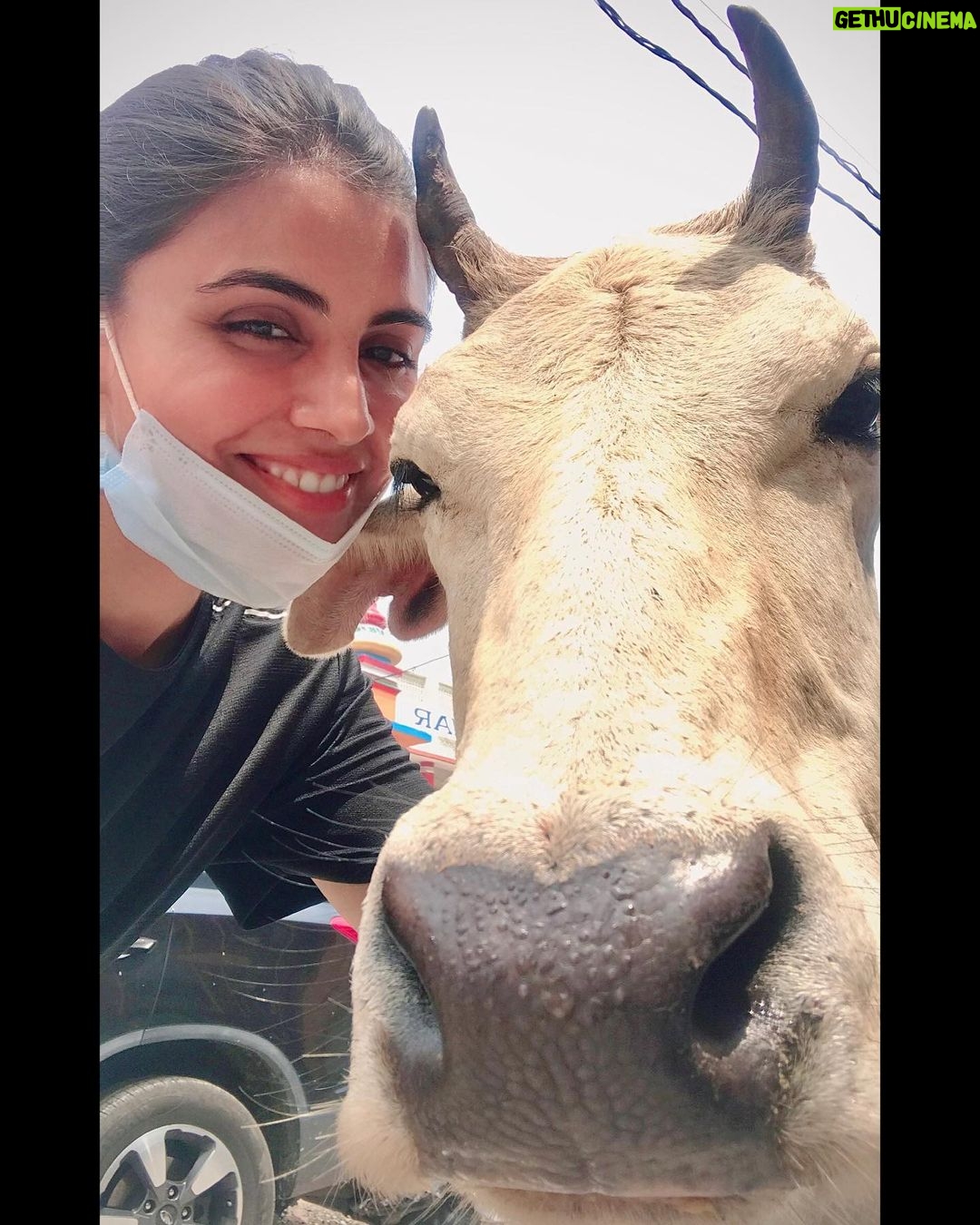 Malti Chahar Instagram - Goodnight guys And love from me and my new friend Elizabeth π Itβs a selfi π€³ taken by her..and she is pretty serious about it πβ€οΈ